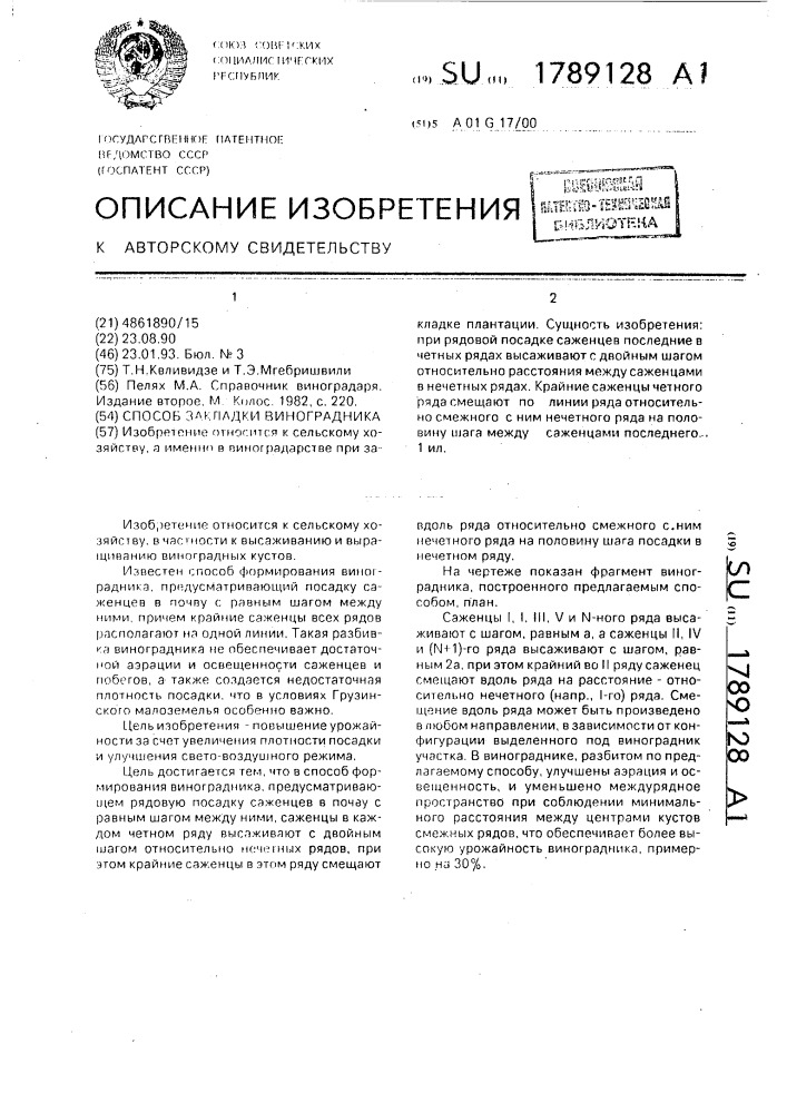 Способ закладки виноградника (патент 1789128)