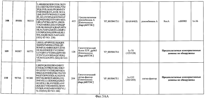 Бактериофаг, обладающий активностью против pseudomonas aeruginosa, белки бактериофага и способы их применения (патент 2580248)