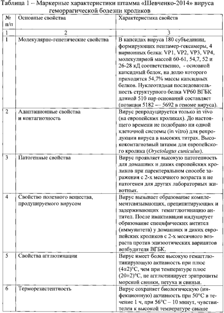 Штамм "шевченко-2014" вируса геморрагической болезни кроликов для изготовления вакцинных, диагностических и лечебных препаратов (патент 2631925)