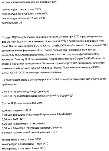 Способ получения полиненасыщенных жирных кислот в трансгенных растениях (патент 2449007)