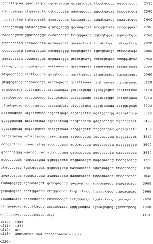 Pscaxcd3, cd19xcd3, c-metxcd3, эндосиалинxcd3, epcamxcd3, igf-1rxcd3 или fap-альфаxcd3 биспецифическое одноцепочечное антитело с межвидовой специфичностью (патент 2547600)