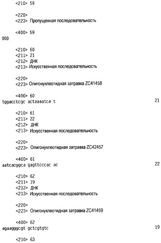 Новый лиганд рецептора цитокина zcytor17 (патент 2490276)