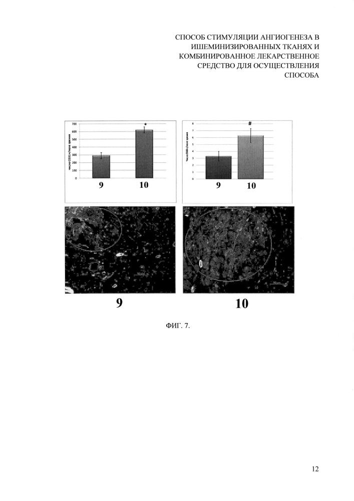 Способ стимуляции ангиогенеза в ишеминизированных тканях и комбинированное лекарственное средство для осуществления способа (патент 2628706)