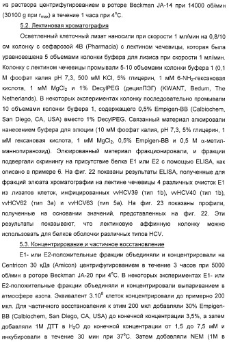 Очищенные белки оболочки вируса гепатита с для диагностического и терапевтического применения (патент 2313363)