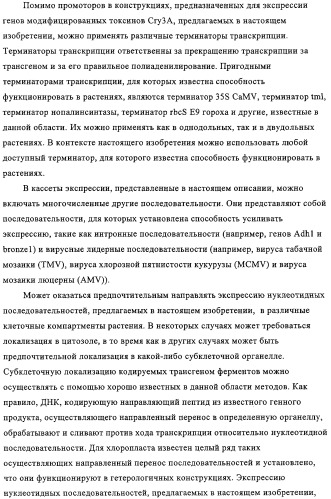Модифицированные токсины cry3a и кодирующие их нуклеотидные последовательности (патент 2314345)
