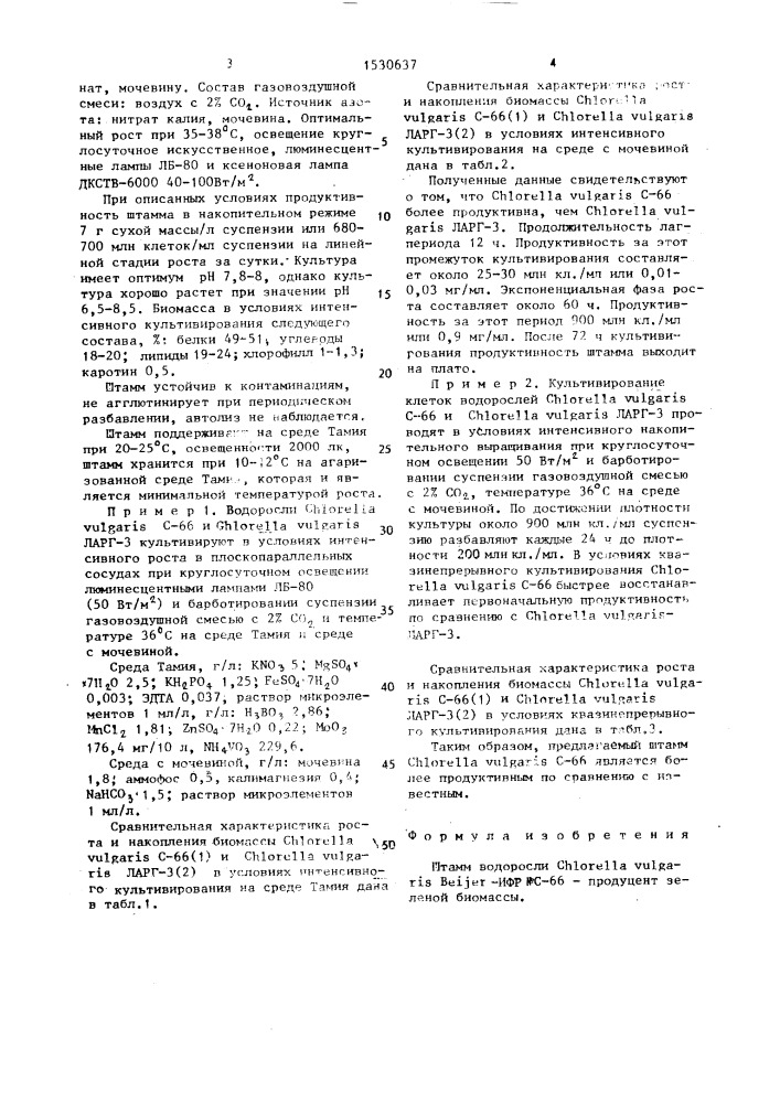 Штамм водоросли снlоrеllа vulgaris - продуцент зеленой биомассы (патент 1530637)