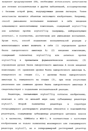 Новый лиганд рецептора цитокина zcytor17 (патент 2360923)