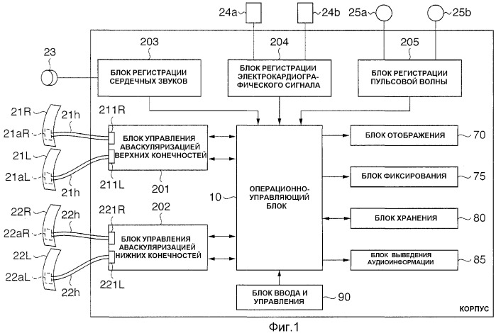 Устройство и способ выведения биоинформации и биоинформационного отчета (патент 2334455)