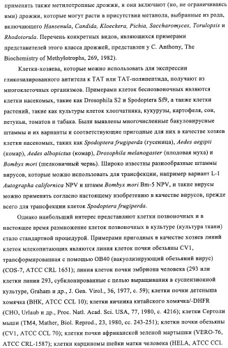 Композиции и способы диагностики и лечения опухоли (патент 2430112)