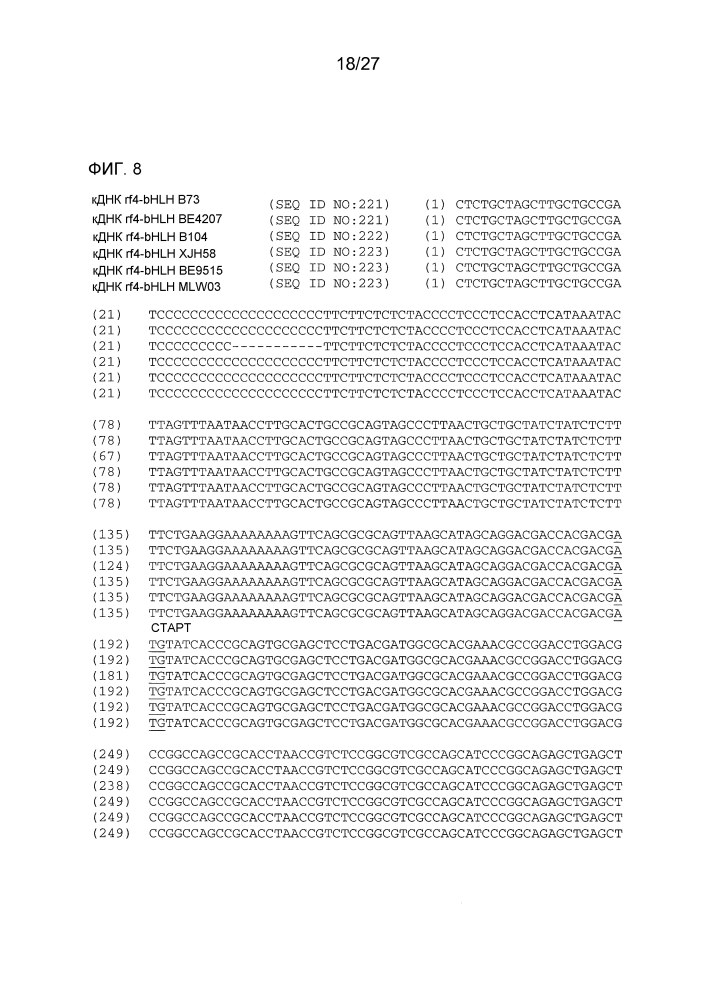 Ген-восстановитель rf4 для цитоплазматической мужской стерильности (cms) c-типа кукурузы, молекулярные маркеры и их применение (патент 2603005)