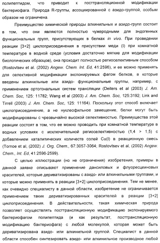 Селективная посттрансляционная модификация экспонируемых фагами полипептидов (патент 2459866)