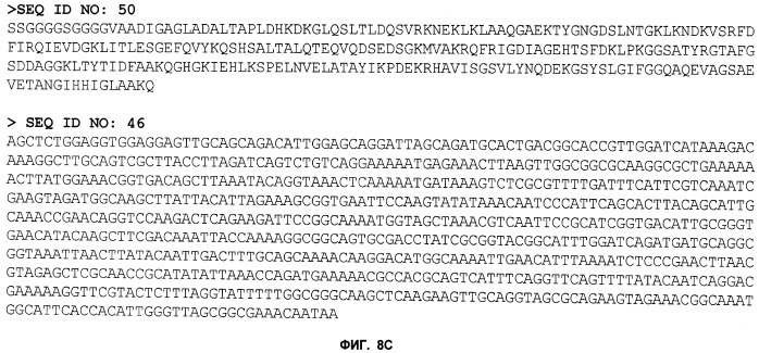 Нелипидизированные варианты антигенов neisseria meningitidis orf2086 (патент 2546873)