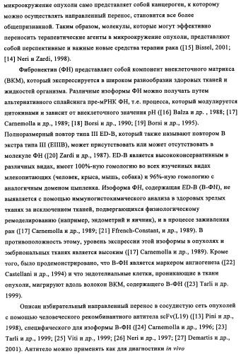 Избирательный направленный перенос в сосудистую сеть опухоли с использованием молекул антител (патент 2347787)