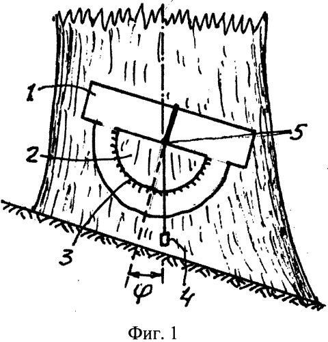 Способ измерения комля учетного дерева и устройство для его осуществления (патент 2536055)
