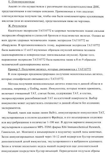 Композиции и способы диагностики и лечения опухоли (патент 2423382)