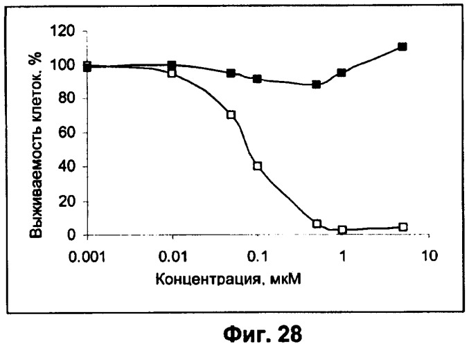 Водорастворимые анионсодержащие производные бактериохлорофилла и их применение (патент 2353624)