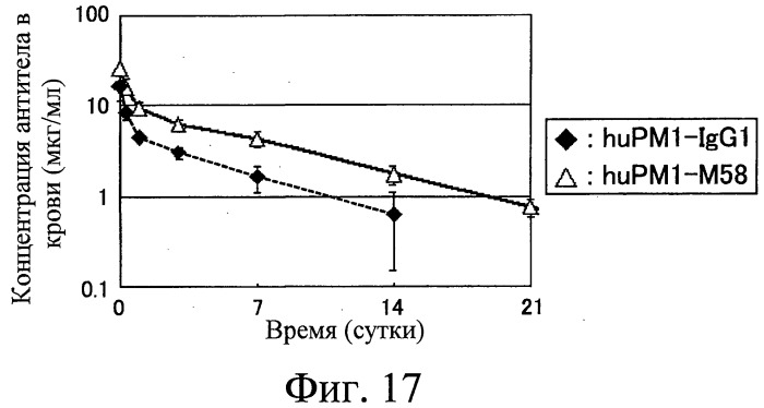 Антитело против nr10 и его применение (патент 2531521)