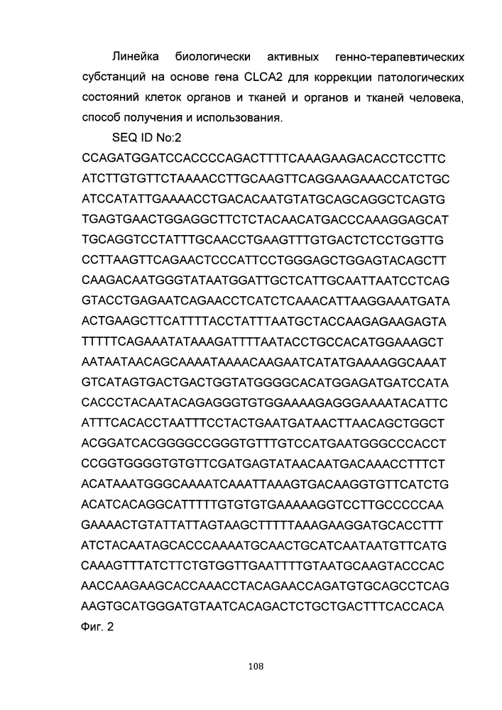 Линейка биологически активных генно-терапевтических субстанций на основе гена clca2 для коррекции патологических состояний клеток органов и тканей и органов и тканей человека, способ получения и использования (патент 2652318)