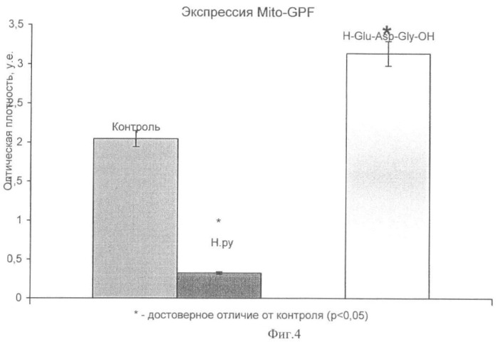 Пептидная фармацевтическая композиция, средство на ее основе для лечения гастродуоденальных заболеваний, вызываемых helicobacter pylori, и способ его использования (патент 2449805)