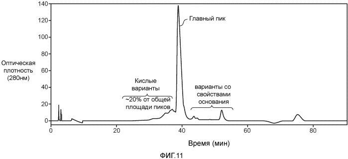 Композиция, содержащая антитело, которое связывается с доменом ii her2, и его кислые варианты (патент 2543664)