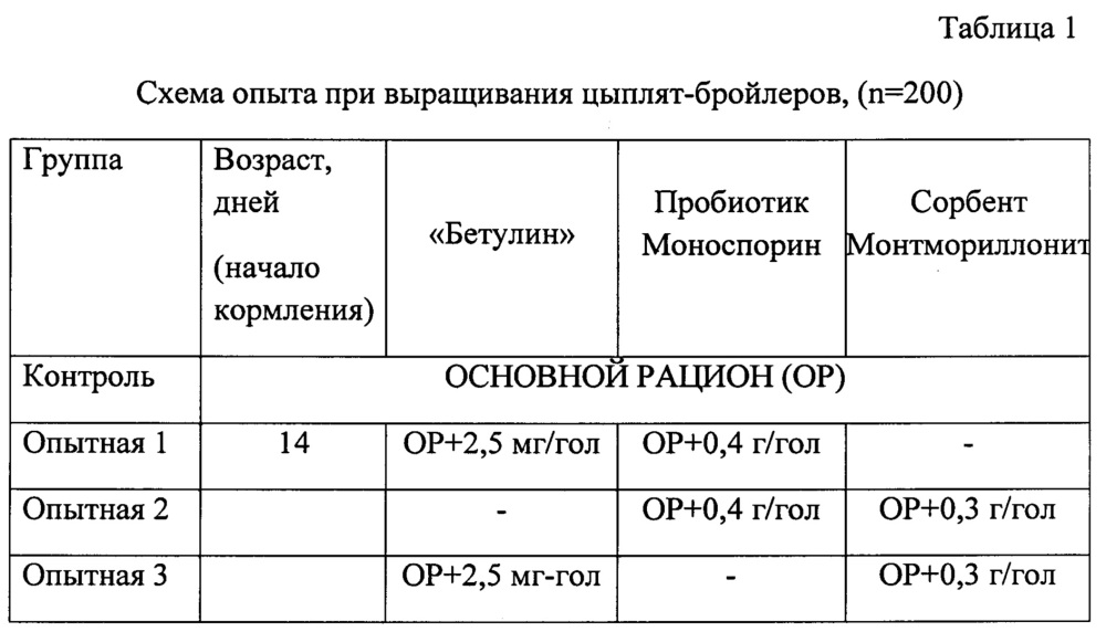 Способ выращивания высокопродуктивных бройлеров (патент 2665485)