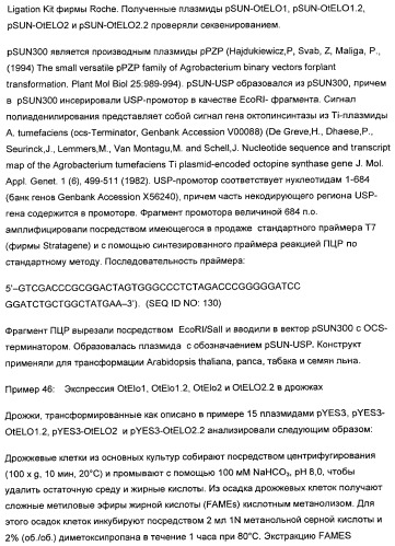 Способ получения полиненасыщенных жирных кислот в трансгенных растениях (патент 2449007)