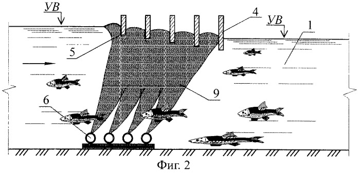 Рыбоход (варианты) (патент 2249653)