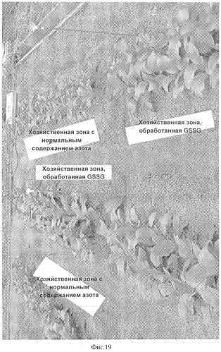 Регулятор роста растений и его применение (патент 2415573)