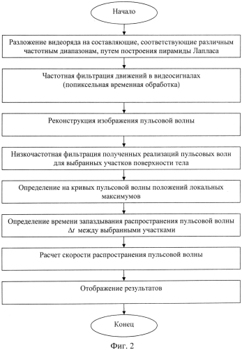 Способ автоматизированной дистанционной оценки скорости распространения пульсовой волны (патент 2565804)