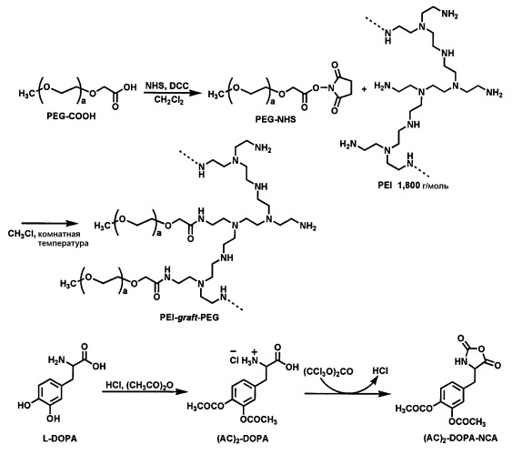 Биосовместимый агент для диспергирования наночастиц в водной среде с использованием имитирующего адгезивный белок мидии полимера (патент 2541538)