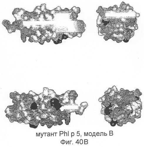 Новые мутантные аллергены (патент 2285042)