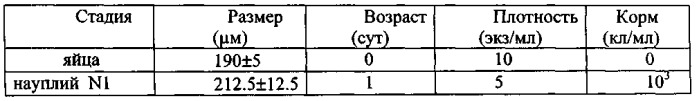 Способ культивирования каланоидных копепод calanus euxinus (черноморского калянуса) (патент 2541458)