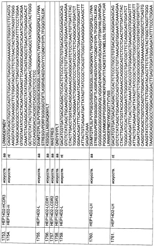 Pscaxcd3, cd19xcd3, c-metxcd3, эндосиалинxcd3, epcamxcd3, igf-1rxcd3 или fap-альфаxcd3 биспецифическое одноцепочечное антитело с межвидовой специфичностью (патент 2547600)