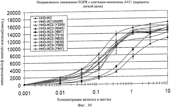 Антигенсвязывающие молекулы, которые связывают рецептор эпидермального фактора роста (egfr), кодирующие их векторы и их применение (патент 2457219)