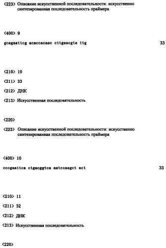 Ген синтеза клеточной стенки грибков (патент 2286387)