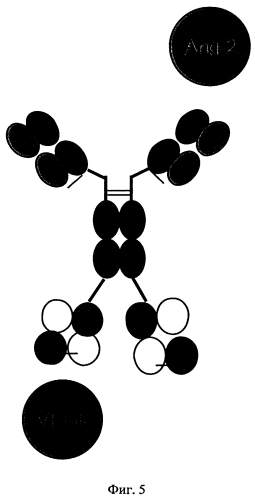 Биспецифические антигенсвязывающие белки (патент 2573914)