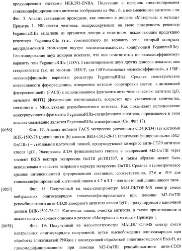 Конструкции слияния и их применение для получения антител с повышенными аффинностью связывания fc-рецептора и эффекторной функцией (патент 2407796)