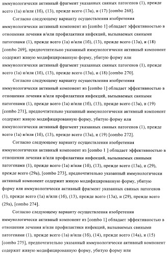 Иммуногенные композиции, содержащие lawsonia intracellularis (патент 2443430)