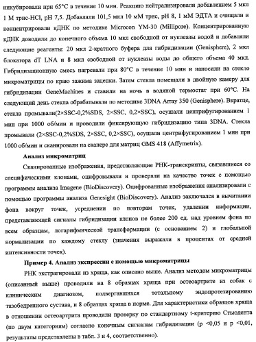 Гены, связанные с остеоартритом собак, и относящиеся к этому способы и композиции (патент 2341795)