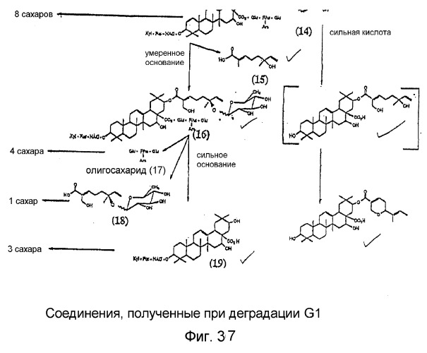 Ингибирование nf- b композициями тритерпенов (патент 2288706)