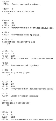 Трансгенные копытные животные, имеющие пониженную активность прионного белка, и их применения (патент 2384059)