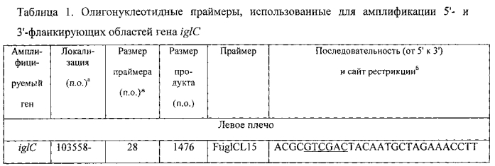 Штамм francisella tularensis 15/23-1δreca со сниженной реактогенностью для создания живой туляремийной вакцины и способ его получения (патент 2567810)