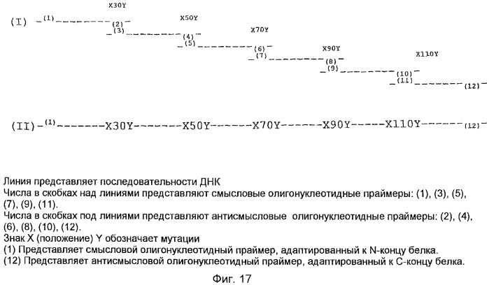 Новые мутантные аллергены (патент 2285042)