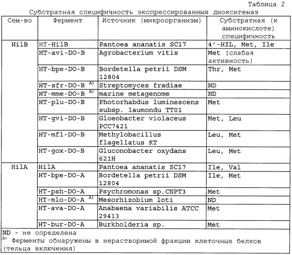 Способ получения гидроксилированного l-лейцина и бактерия, трансформированная днк, кодирующей диоксигеназу (патент 2468085)