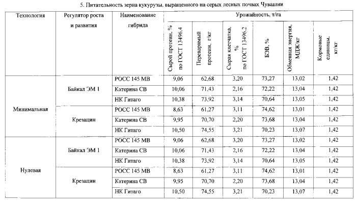 Способ возделывания кукурузы на зерно в агроклиматических условиях чувашской республики (патент 2569240)
