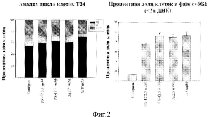 Новые сложные эфиры (ацилоксиметил)акриламида, фармацевтическая композиция, содержащая их, и их применение в качестве ингибиторов системы тиоредоксин - тиоредоксин-редуктаза (патент 2570576)