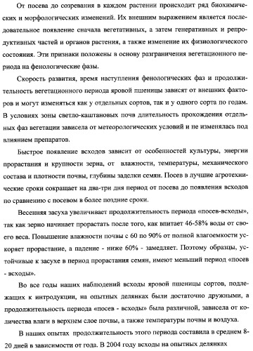 Способ возделывания яровой пшеницы предпочтительно в зоне светло-каштановых почв нижнего поволжья (варианты) (патент 2348137)