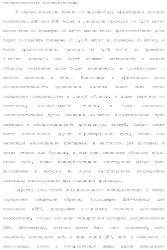 Слитые белки альбумина (патент 2369404)