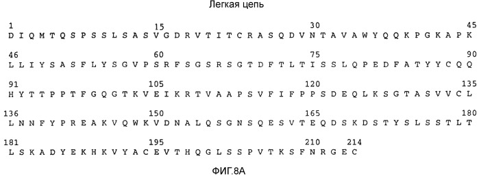 Композиция, содержащая антитело, которое связывается с доменом ii her2, и его кислые варианты (патент 2543664)