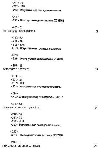 Новый лиганд рецептора цитокина zcytor17 (патент 2360923)